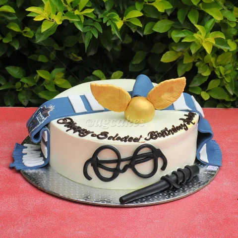 Harry Potter Themed Cake