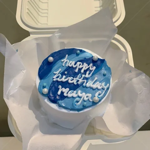Bento Cake