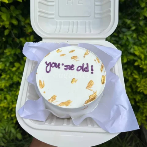 Bento Cake