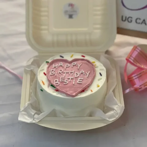 Bento Cake with Heart Shape in Middle