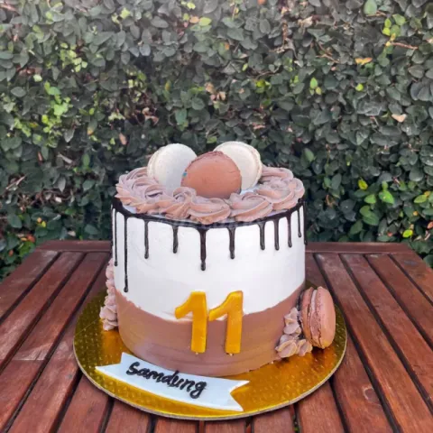 Chocolate and macaroon themed cake