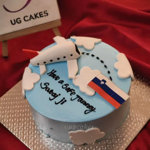 Fly Away Cake