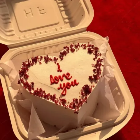Heart Bento Cake 