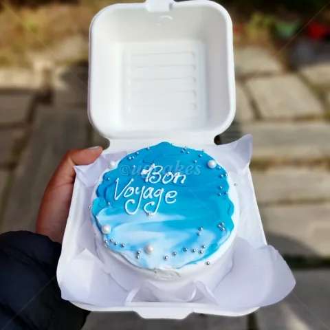 Minimalist Bento Cake