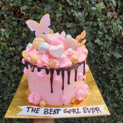 Pink Cake with loads of toppings
