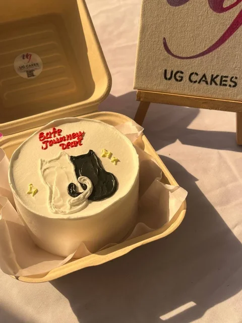 Safe Journey Bento Cake