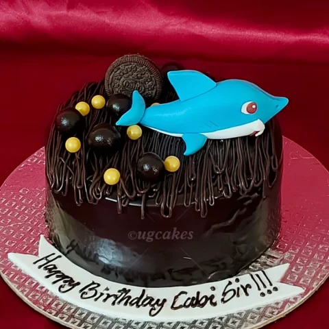 Shark Surprise