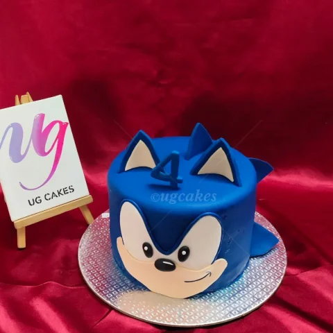 Sonic Rush Cake