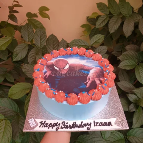Spiderman Printed Cake
