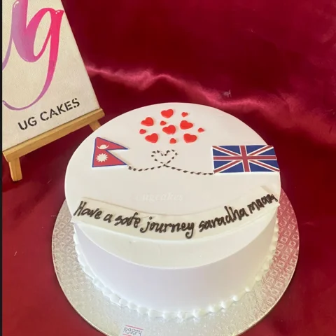 Travel Cake