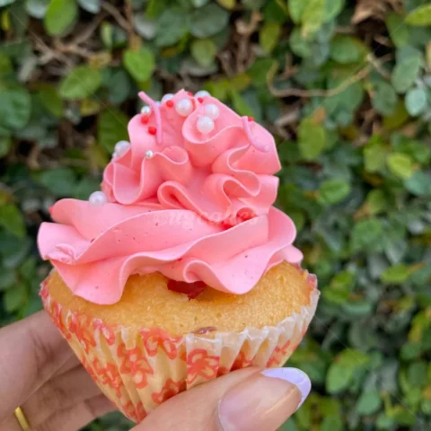 Vanilla CupCake with Pink Cream