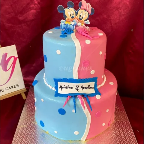 Mickey and Minnie Cake